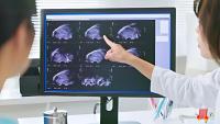 A doctor pointing at an ultrasound of the uterus